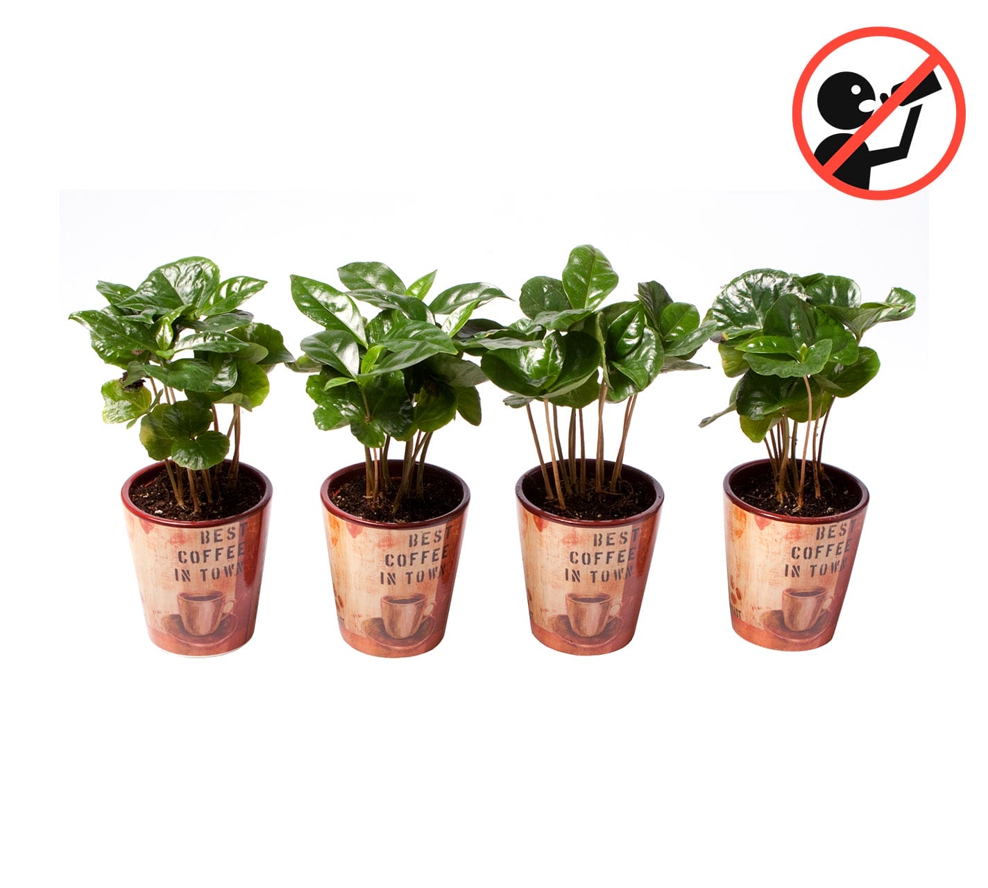 ceramic plant pots lundager plants