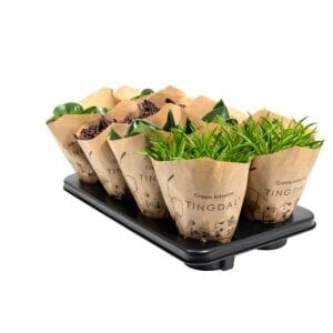 Pep. MIX Papersleeve/lav