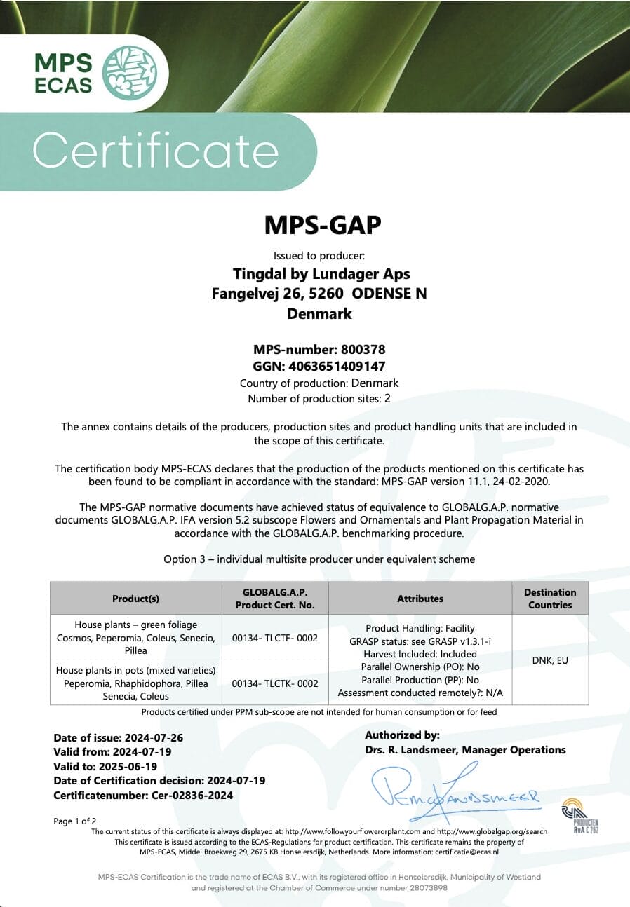 MPS GAP Tingdal by LUNDAGER