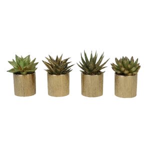 Succulent MIX + Glitter