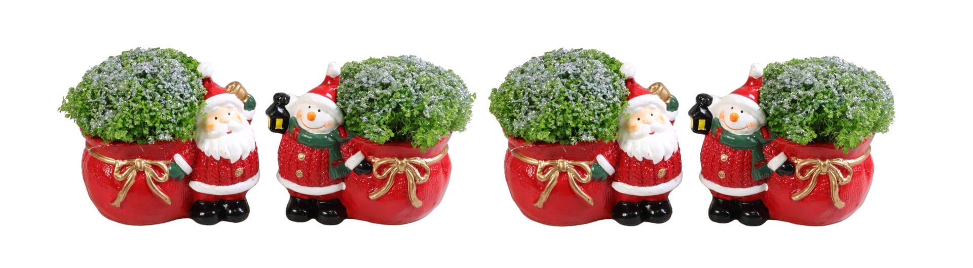 Selaginella Apoda+Glitter