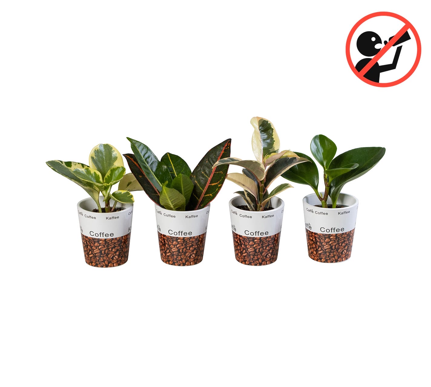 ceramic plant pots lundager plants