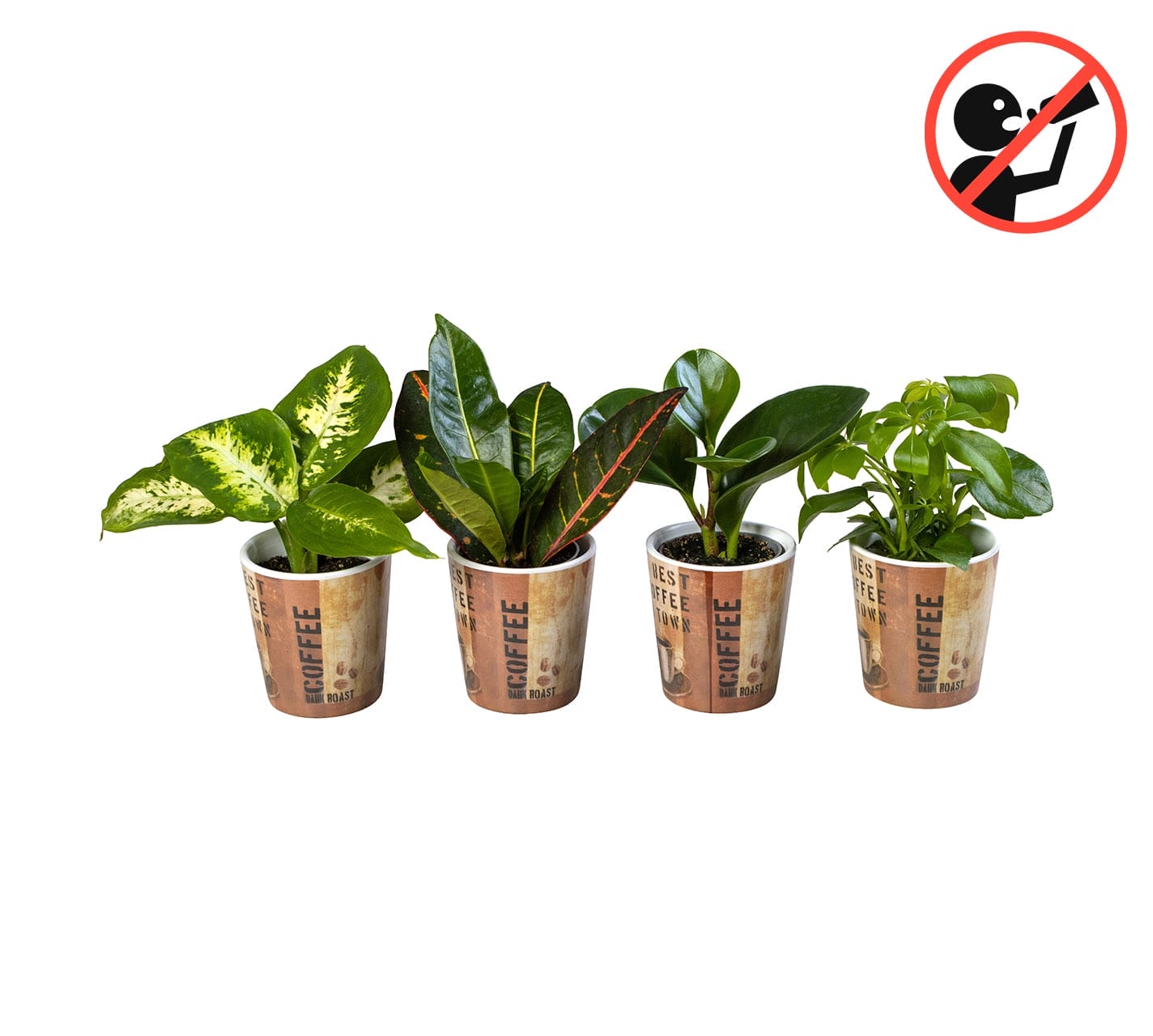 ceramic plant pots lundager plants