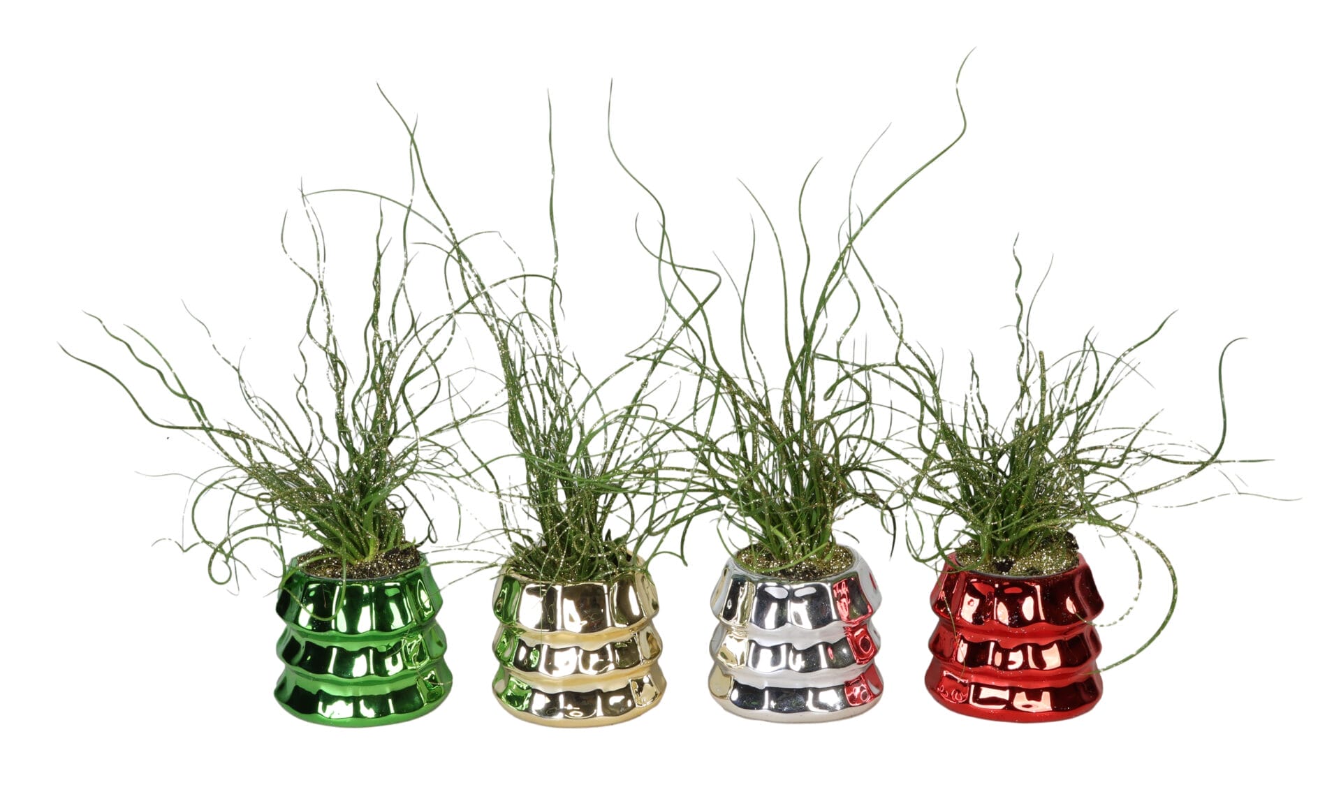 Juncus Spiralis+Glitter