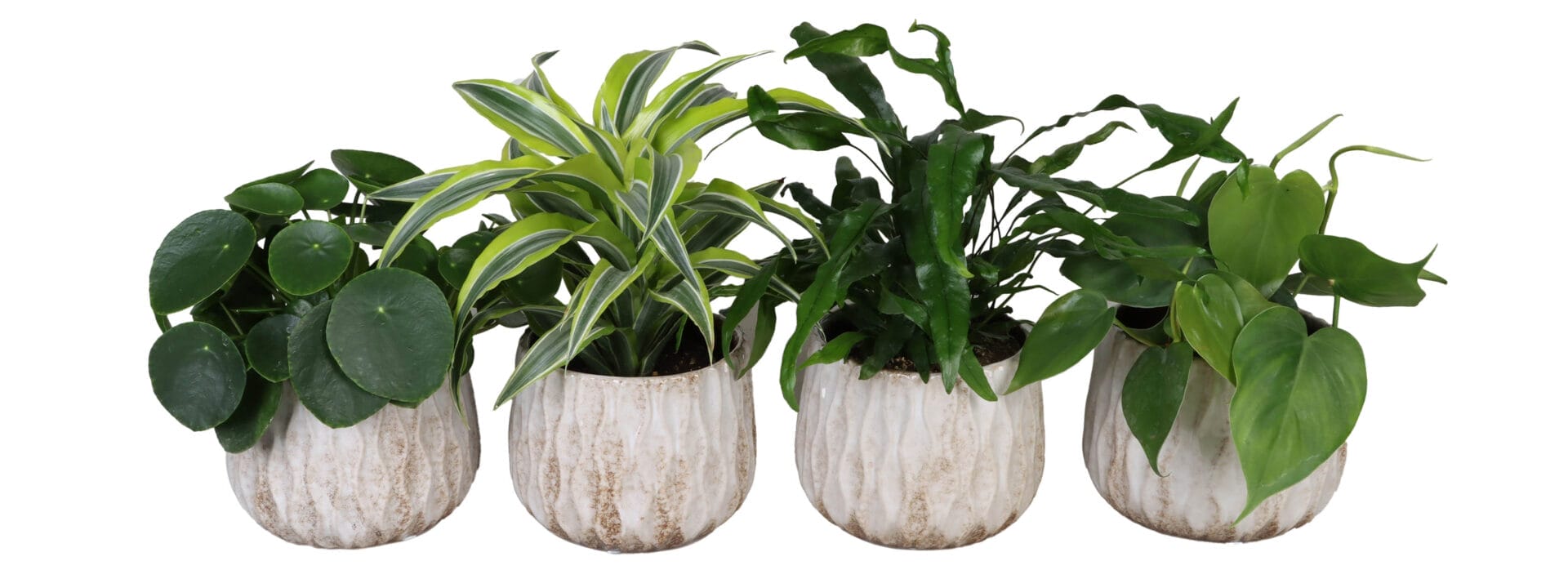 Green MIX