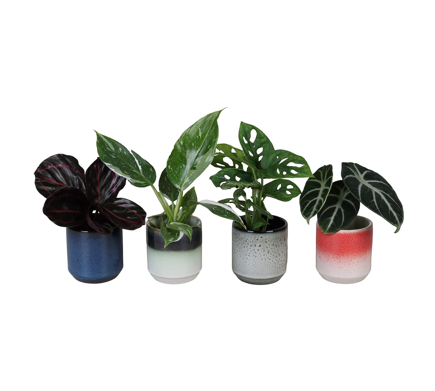 Exclusive Mix LUNDAGER