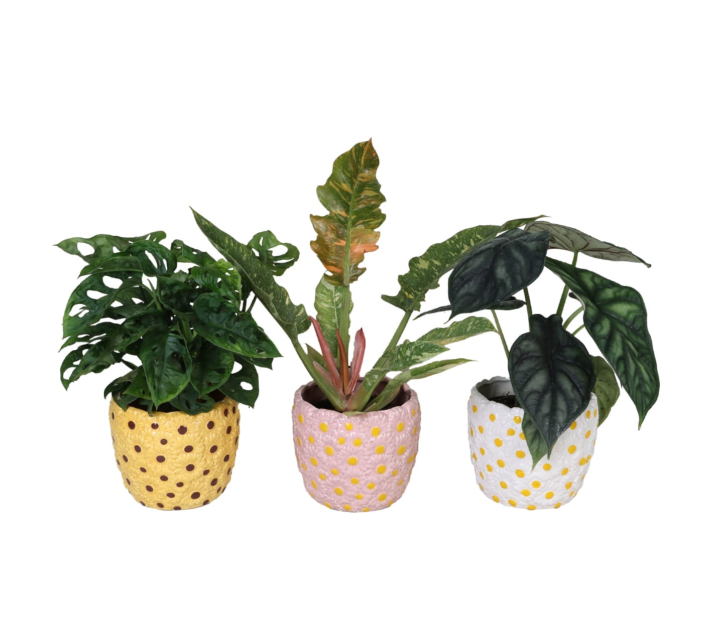 Exclusive Mix LUNDAGER