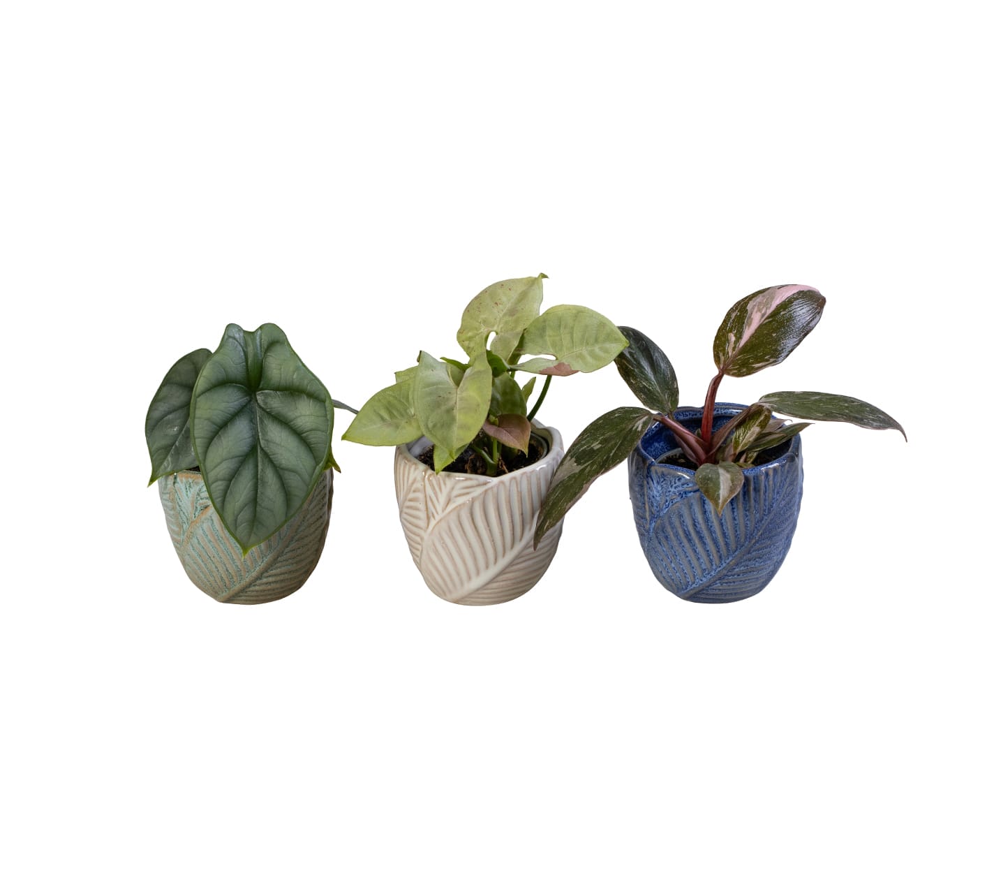 Exclusive mix LUNDAGER