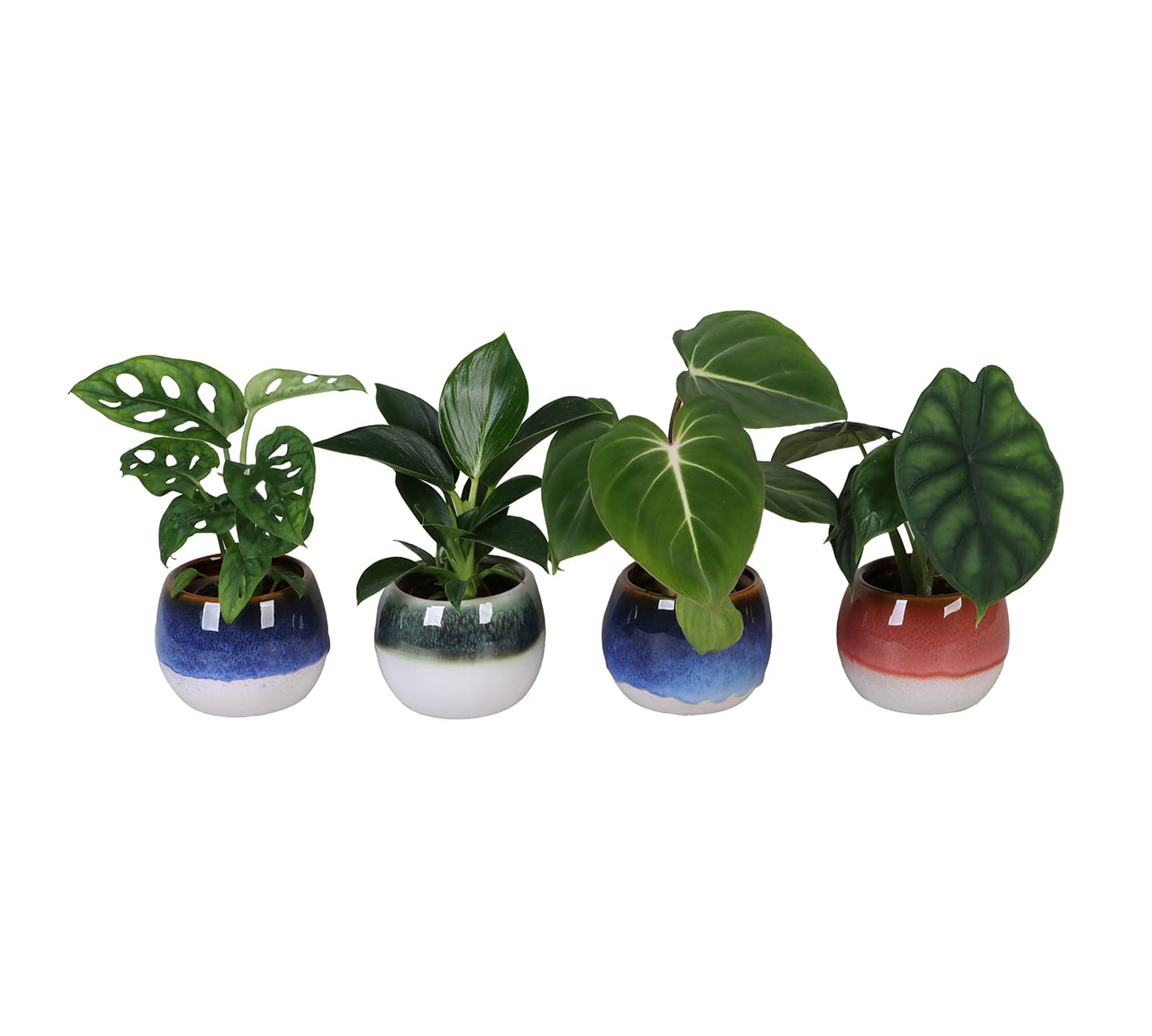 Exclusive Mix LUNDAGER