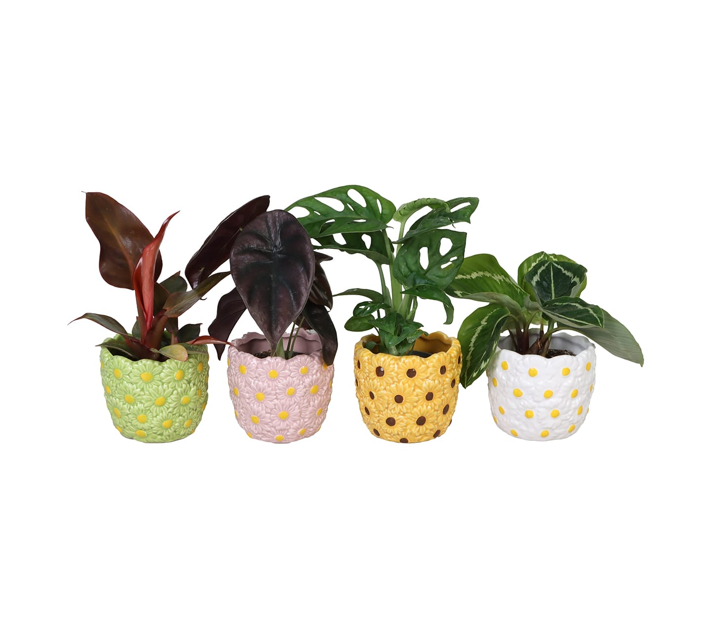 Exclusive Mix LUNDAGER