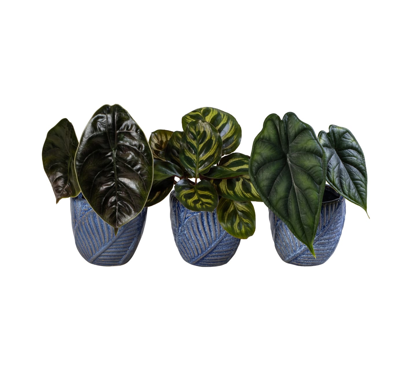 Exclusive mix LUNDAGER