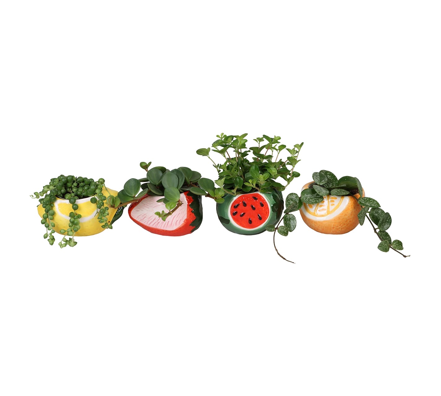 Hanging Mix LUNDAGER