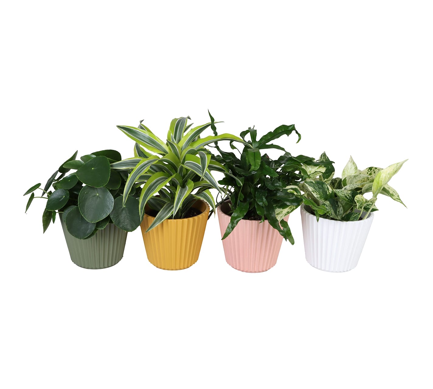 Green mix LUNDAGER